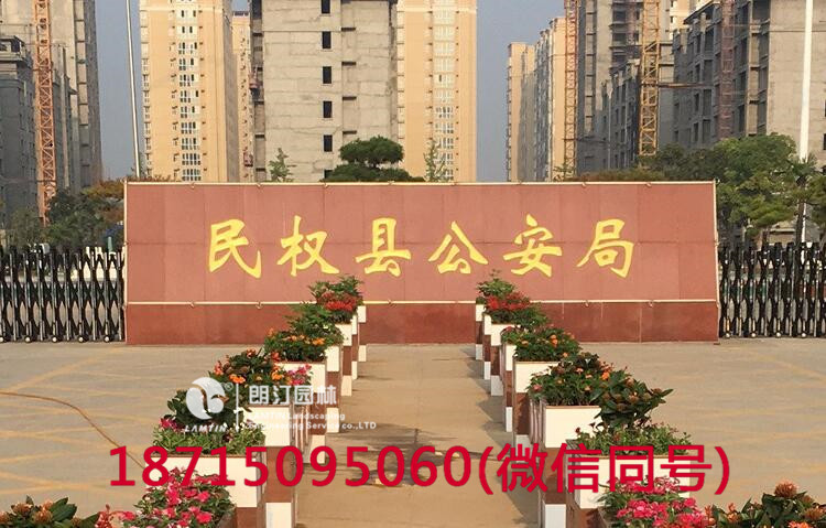 朗汀花箱進(jìn)駐民權(quán)縣 打造廣場花箱景觀