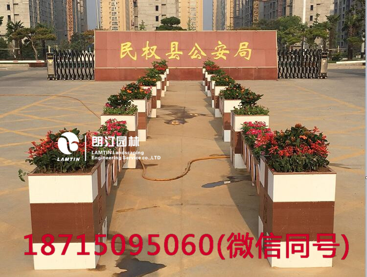 朗汀花箱進(jìn)駐民權(quán)縣 打造廣場花箱景觀