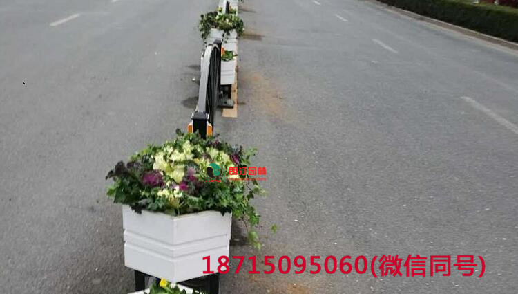 朗汀園林道路景觀花箱打造巢湖生態(tài)家園建設