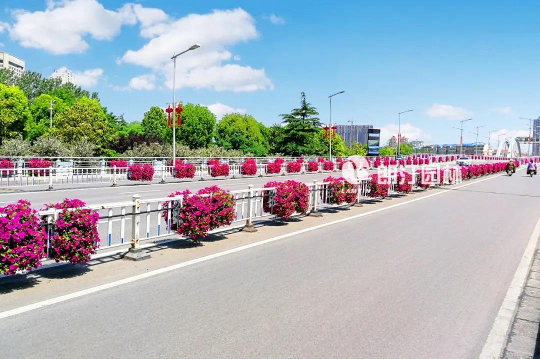 1595409553966765.jpg 1595409553966765.jpg