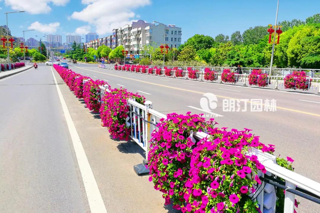 1595409607602086.jpg 1595409607602086.jpg