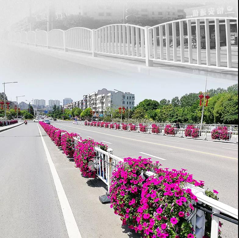 1595409623300161.jpg 1595409623300161.jpg