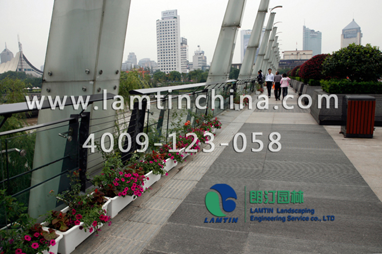 1596530111124482.png 1596530111124482.png