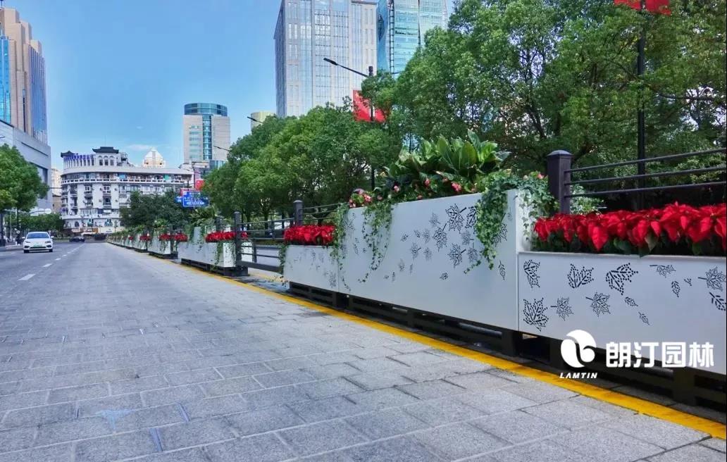 1600657684953806.jpg 1600657684953806.jpg