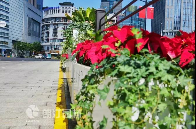 1600657699657677.jpg 1600657699657677.jpg