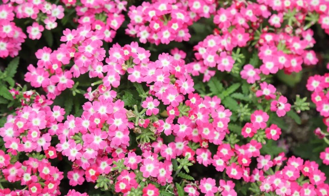 1600657748814998.jpg 1600657748814998.jpg