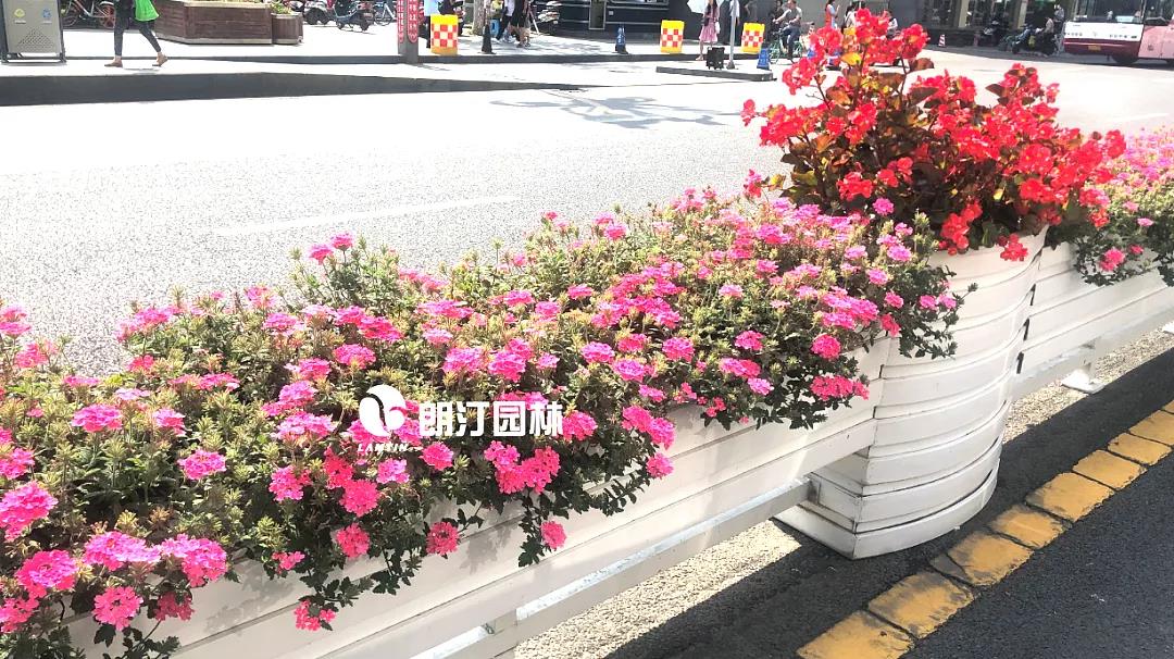 1600657820227151.jpg 1600657820227151.jpg