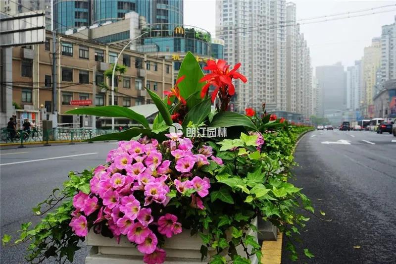 1600657893252022.jpg 1600657893252022.jpg