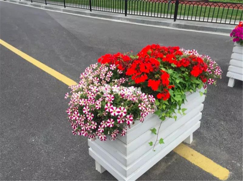 1600657895260327.jpg 1600657895260327.jpg