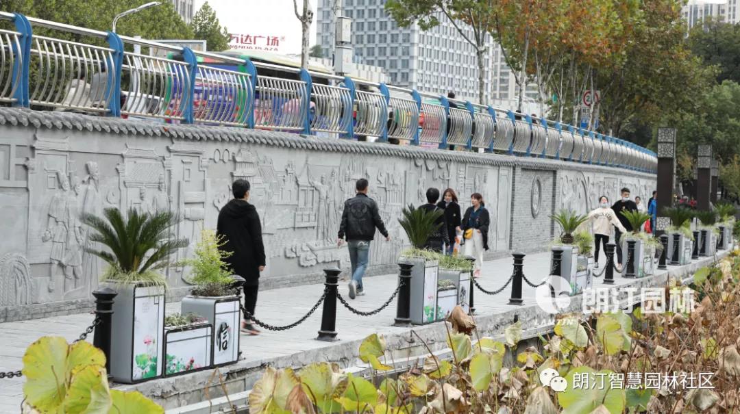 1606371398444498.jpg 1606371398444498.jpg