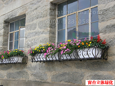 陽(yáng)臺(tái)-立體綠化