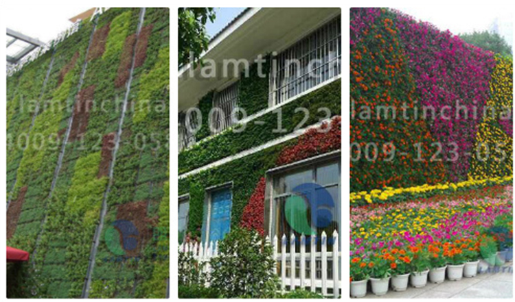 合肥立體綠化 合肥立體綠化