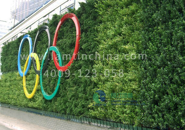 合肥墻體綠化