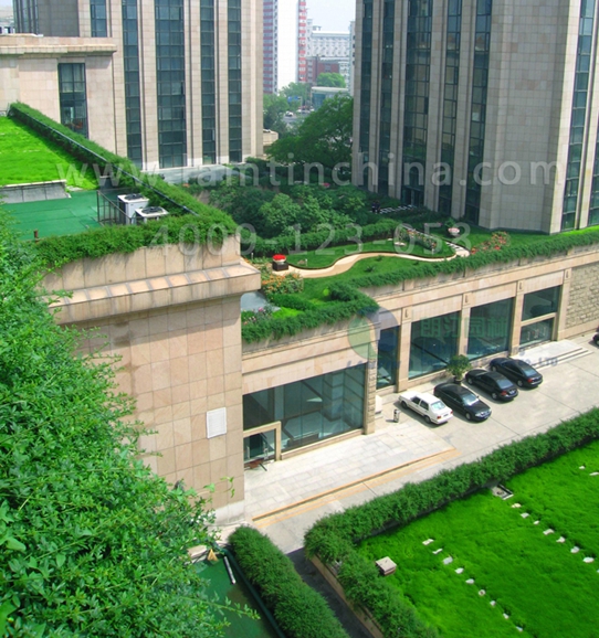 樓頂綠化公司 樓頂綠化公司