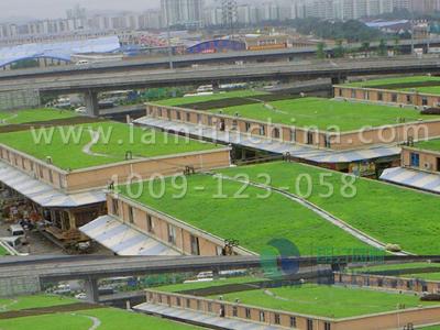 屋頂綠化公司 屋頂綠化公司