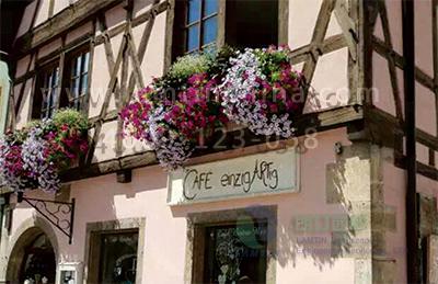 窗臺(tái)陽(yáng)臺(tái)綠化組合花盆