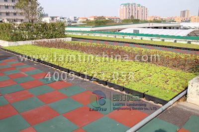 屋頂綠化注意事項(xiàng)