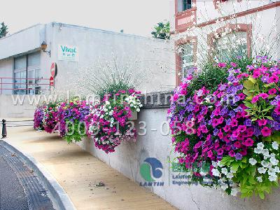 陽臺(tái)景觀綠化