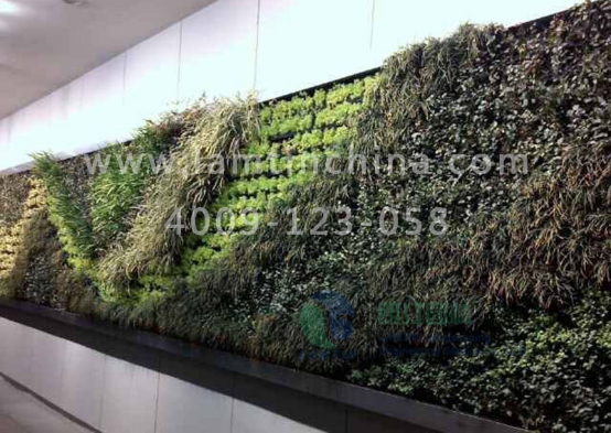 垂直綠化花盆 垂直綠化花盆