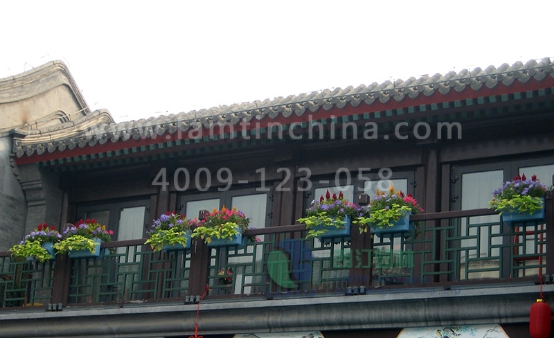 窗臺(tái)陽(yáng)臺(tái)綠化