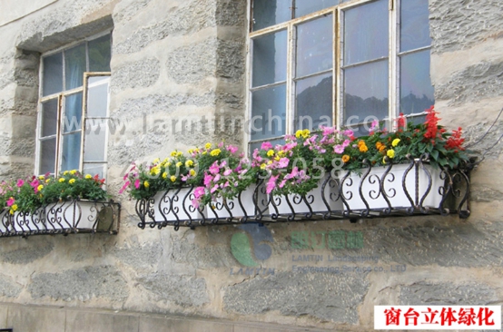 窗臺(tái)陽臺(tái)綠化