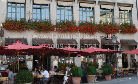 窗臺(tái)陽臺(tái)綠化