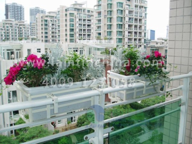 窗臺(tái)陽臺(tái)綠化