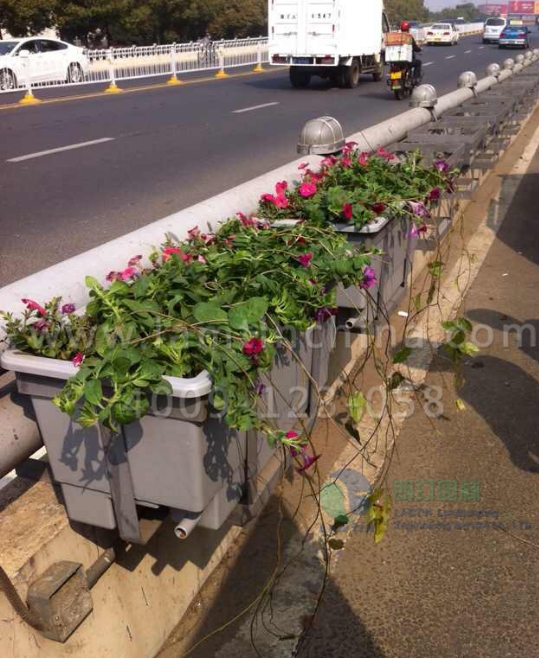 高架橋綠化花盆