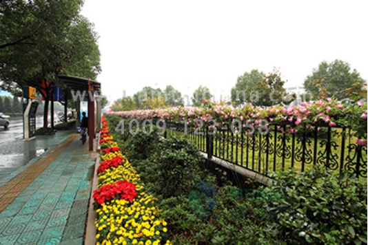 護(hù)欄綠化