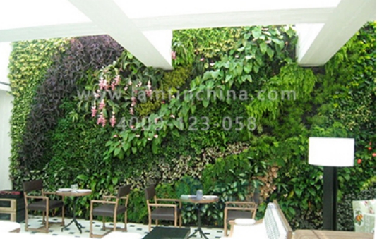 墻體綠化花盆 墻體綠化花盆