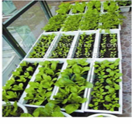 窗臺(tái)陽(yáng)臺(tái)綠化花盆