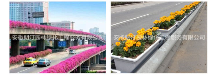 高架橋綠化