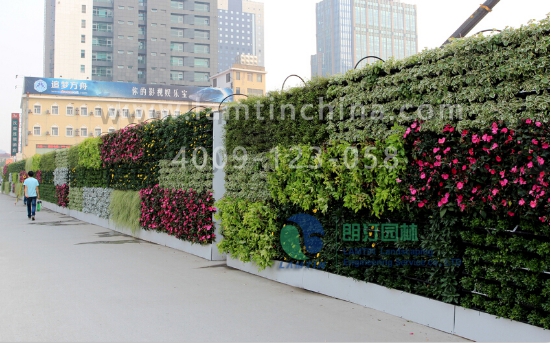 墻體綠化花盆
