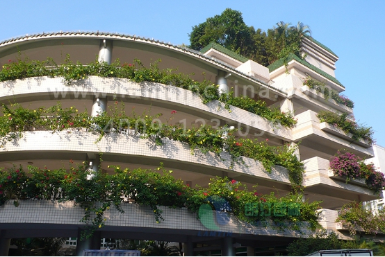 窗臺(tái)陽(yáng)臺(tái)綠化