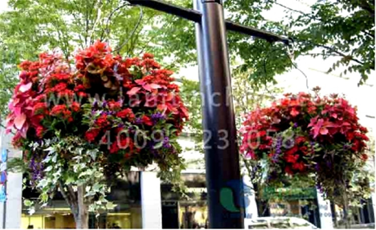 電線桿花盆
