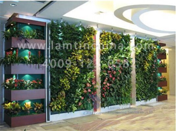 墻體綠化 墻體綠化