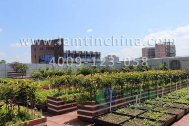 屋頂綠化 屋頂綠化