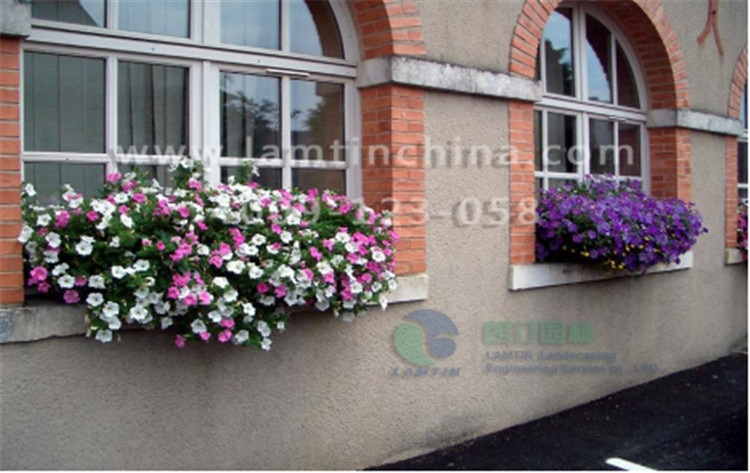 窗臺(tái)陽(yáng)臺(tái)綠化