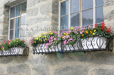 朗汀園林窗臺陽臺綠化