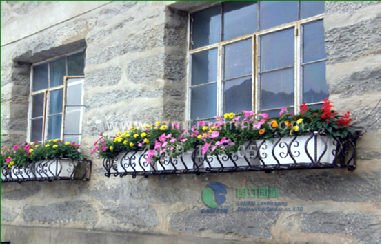 窗臺(tái)陽(yáng)臺(tái)綠化