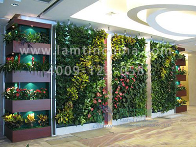 植物墻