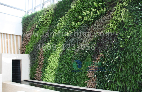 植物墻 植物墻