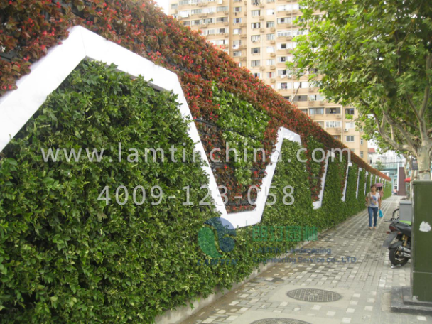 植物墻 植物墻