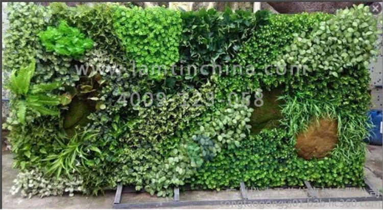 墻體綠化