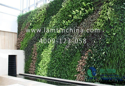 植物墻