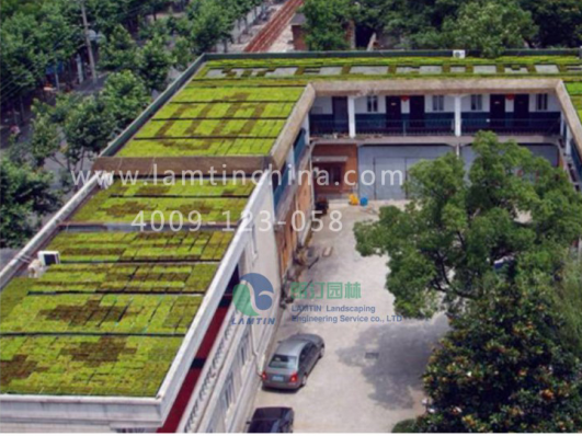 屋頂綠化 屋頂綠化