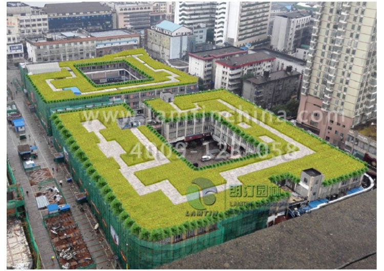 屋頂綠化