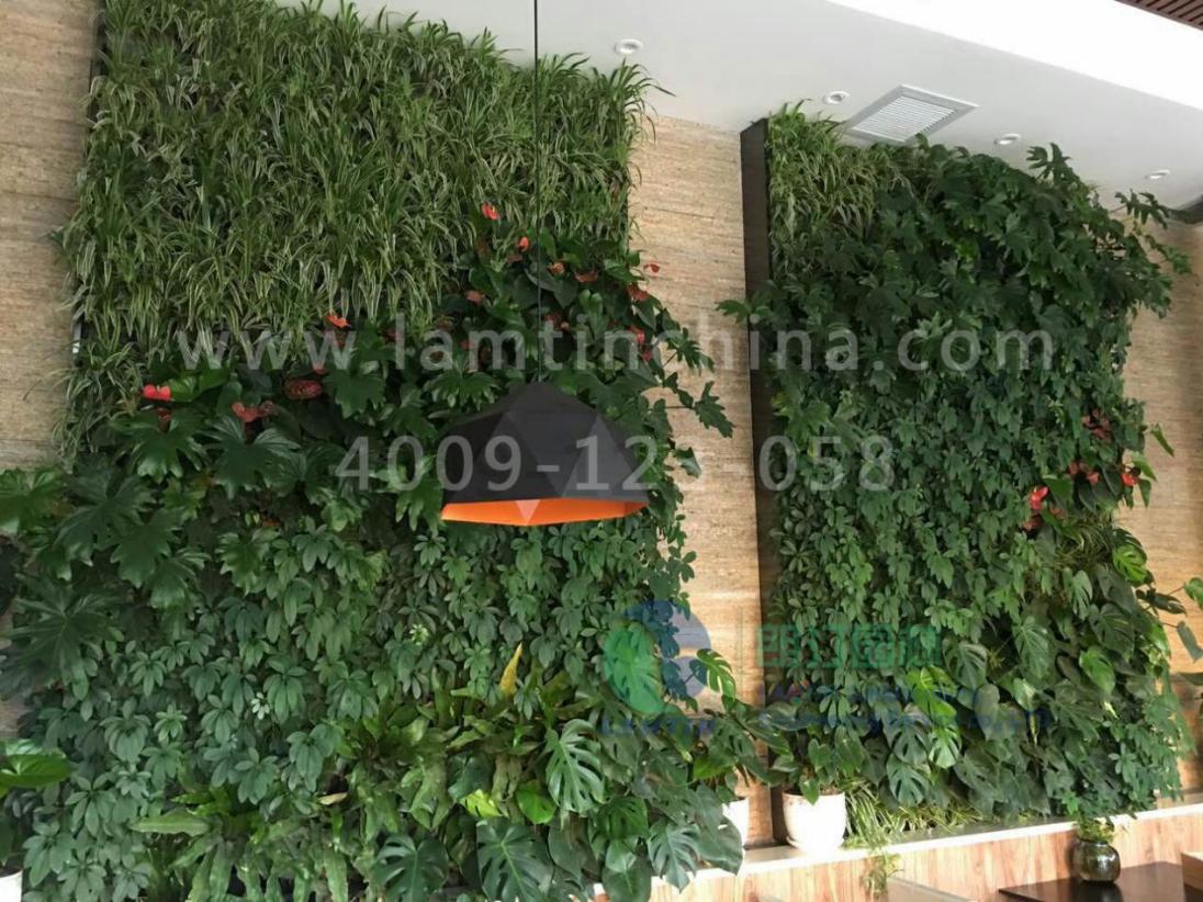 室內(nèi)植物墻