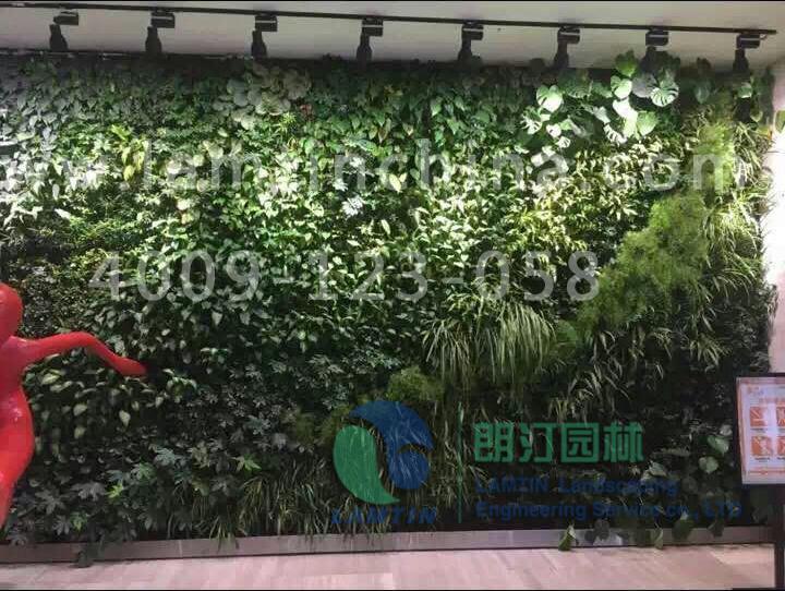 室內(nèi)植物墻