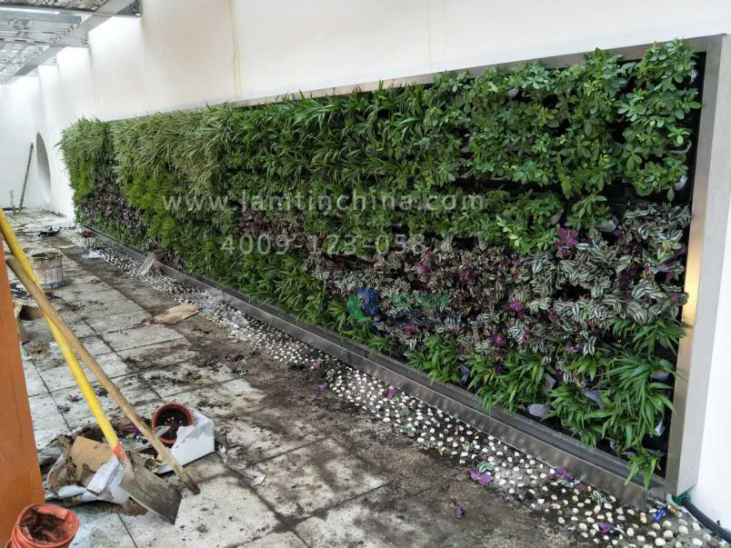 植物墻 植物墻